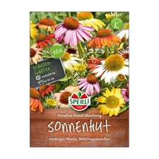 Blumensamen sonnenhut paradiso gebraucht kaufen  Deutschland