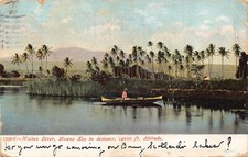 B028 1909 hawaii usato  Spedire a Italy