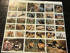 Unused set nelson for sale  Helotes
