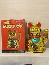 Grande gatto della usato  Civitanova Marche