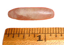 Choice sahara neolithic for sale  La Junta