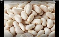 Mogette vendee 100 d'occasion Mogette vendee 100 d'occasion  Verdun