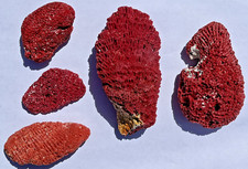Natural red pipe for sale  USA