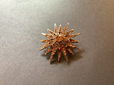 Antique broche etoile d'occasion  Expédié en Belgium