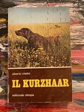 Caccia cani kurzhaar usato  Prato