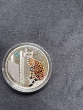 Super cat bengal gebraucht kaufen  Sulzbach/Saar