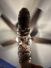 Long archaic mount for sale  Aliso Viejo