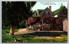 Um lindo cartão postal de fazenda Santa Rosa Califórnia CA década de 1910 cachorro no quintal comprar usado Um lindo cartão postal de fazenda Santa Rosa Califórnia CA década de 1910 cachorro no quintal comprar usado  Enviando para Brazil