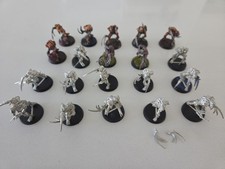 Flayed ones x20 for sale  PEACEHAVEN