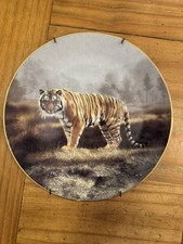 cats bengal for sale  Ashland City