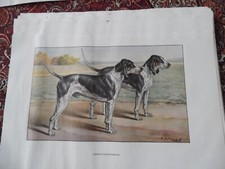 Engravings hunting dog d'occasion  Expédié en Belgium
