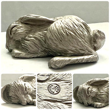 bunnies eared lop for sale bunnies eared lop for sale Saint Paul