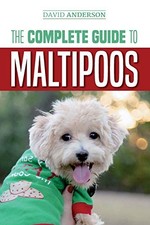 Complete guide maltipoos for sale  Denver