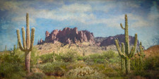 Large desert landscape for sale  Atlanta