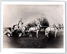Vintage photo herbert for sale  Elk Grove
