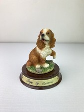 Puppy cavalier king for sale  BECCLES
