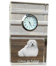 Coton tulear three d'occasion  Expédié en Belgium