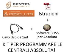 Istruzioni software boss usato  Milano