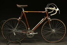 1974 raleigh carlton for sale  Milwaukee