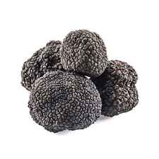 Black winter truffles for sale  Sarasota