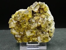Fluorite cardenchosa espagne d'occasion  Rohrbach-lès-Bitche