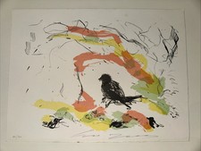 Ernesto treccani usato  Nettuno