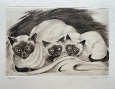 Gravure originale chat d'occasion  Paris XI