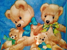 Vintage plush blanket for sale  Mesa