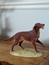 Sherratt simpson dog for sale  IPSWICH