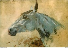 Animaux chevaux cpm d'occasion  Fruges