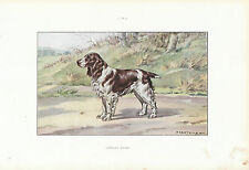 Document ancien springer d'occasion  France