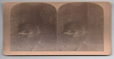 Rare 1890s stereo for sale  San Francisco