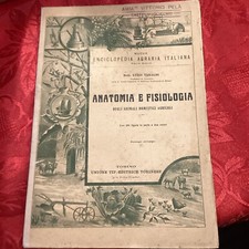 Luigi varaldi anatomia usato Luigi varaldi anatomia usato  Villanova del Ghebbo