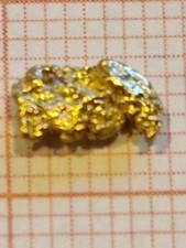 Echtes goldnugget alaska gebraucht kaufen  Kolbermoor