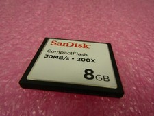 Sandisk compactflash sandisk for sale  Forest Lake