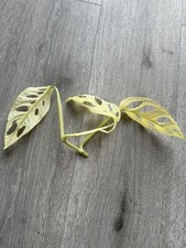 Monstera adansonii ghost gebraucht kaufen  Kirchdorf