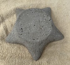 Cement succulent plant for sale  Wallingford