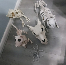 Joblot halloween skeleton for sale  PETERBOROUGH
