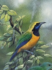 Gamini ratnavira original for sale  Vista