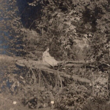 Rppc lady sits for sale  Macon