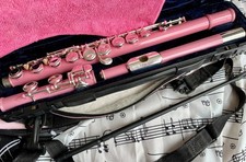 Cute pink vivace for sale  YORK