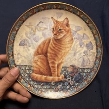 Cats around plates for sale  RUGBY