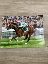 Tom queally horse for sale  NANTWICH