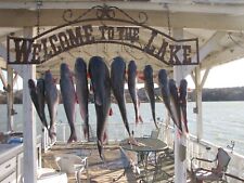 Carolina catfish fish for sale  Fort Worth