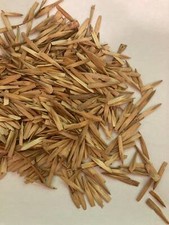 green ash tree for sale green ash tree for sale Green Bay