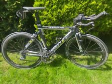 Quintana roo lucero for sale  ILKLEY