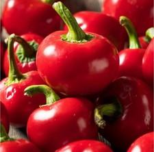 Mix chilli pepper for sale  BRIGHTON
