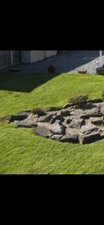 Garden rockery assorted for sale  NORTHWICH
