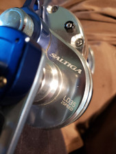 Daiwa saltig ld35 for sale  Terra Ceia