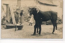 Longue cheval epluchage d'occasion  France